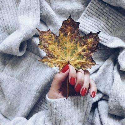 云开·全站APP登录入口