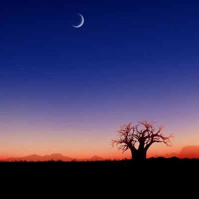 篮球体育彩票app