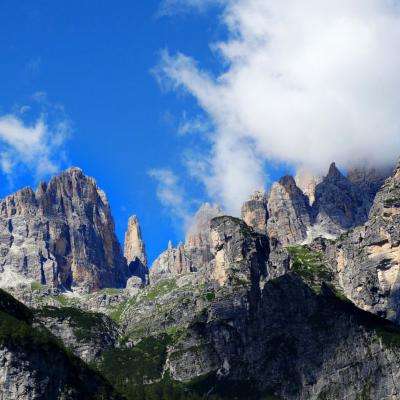 乐鱼app官方下载入口